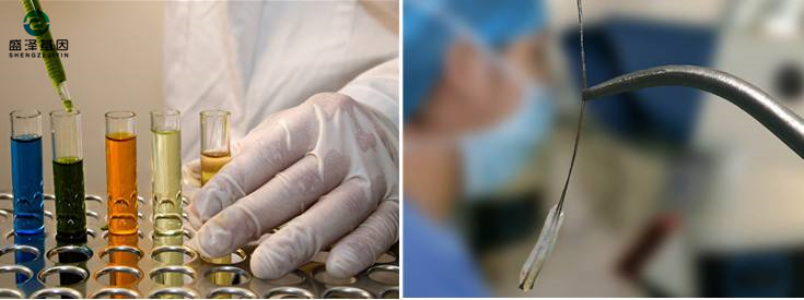 偷偷撿了一把頭發(fā)可以送去做親子鑒定嗎？3