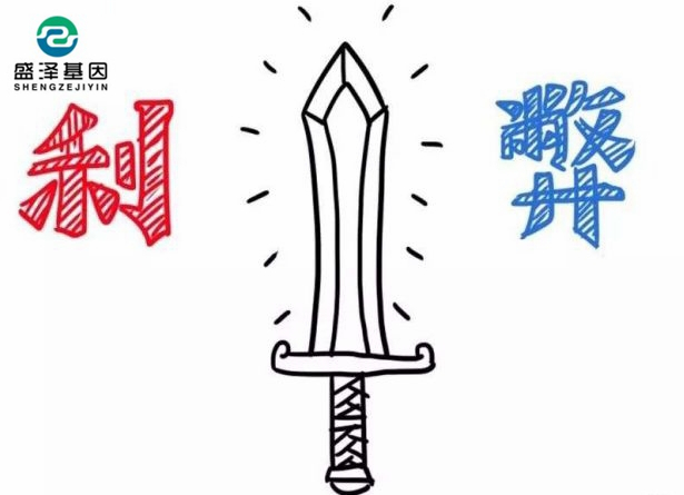 親子鑒定該不該背婚姻失敗的鍋？2