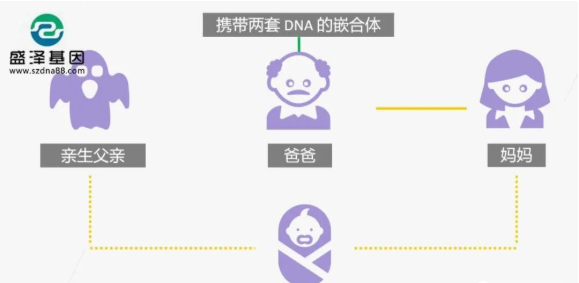 醫(yī)學(xué)怪病奇美拉現(xiàn)象：親自生未必是親生？你身體還住著另一個人？