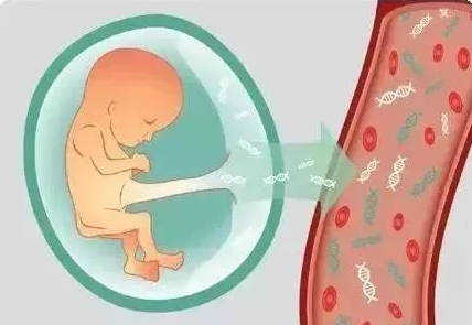 無創(chuàng)產(chǎn)前基因檢測(cè)（NIPT）到底有什么作用？