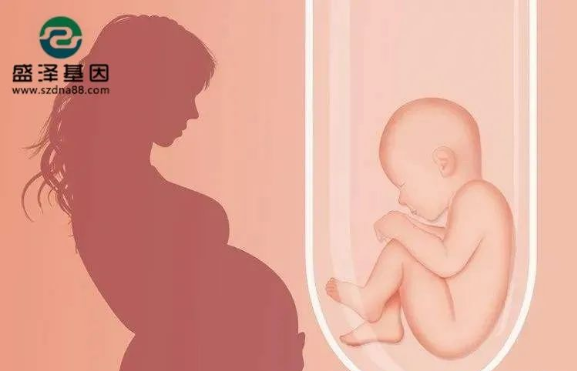 醫(yī)學(xué)怪病奇美拉現(xiàn)象：親自生未必是親生？你身體還住著另一個人？