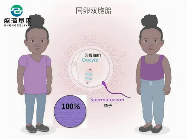 廣東男子做親子鑒定，竟發(fā)現(xiàn)自家雙胞胎有一個不是自己的？！