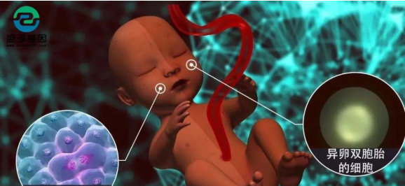 醫(yī)學(xué)怪病奇美拉現(xiàn)象：親自生未必是親生？你身體還住著另一個人？