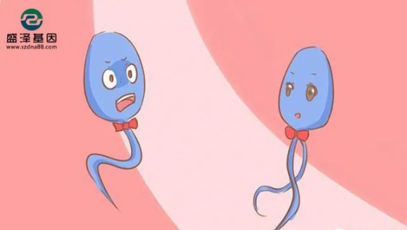 醫(yī)學(xué)怪病奇美拉現(xiàn)象：親自生未必是親生？你身體還住著另一個人？