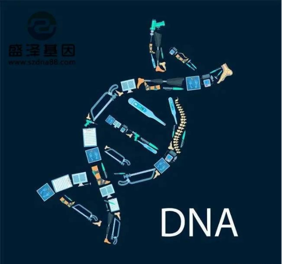 醫(yī)學(xué)怪病奇美拉現(xiàn)象：親自生未必是親生？你身體還住著另一個人？