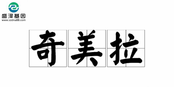 醫(yī)學(xué)怪病奇美拉現(xiàn)象：親自生未必是親生？你身體還住著另一個人？