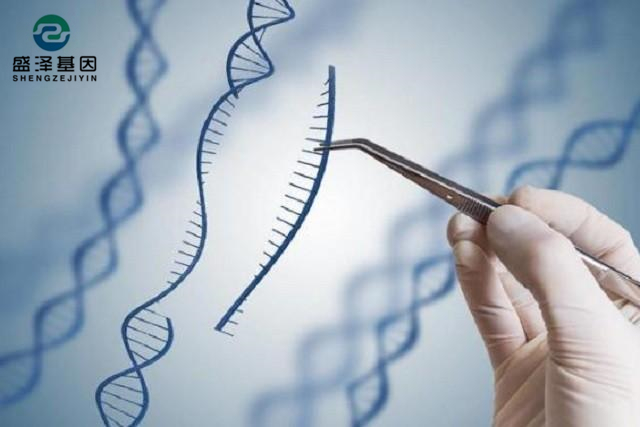 廣東男子做親子鑒定，竟發(fā)現(xiàn)自家雙胞胎有一個不是自己的？！