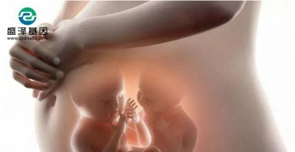 醫(yī)學(xué)怪病奇美拉現(xiàn)象：親自生未必是親生？你身體還住著另一個人？