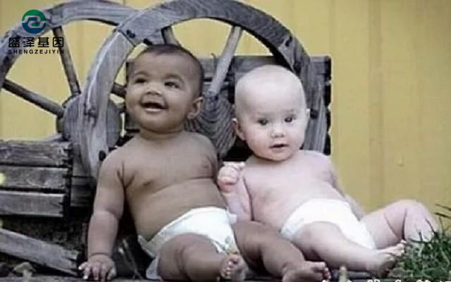 雙胞胎做親子鑒定結(jié)果竟是同母異父？親子鑒定師：罕見(jiàn)！