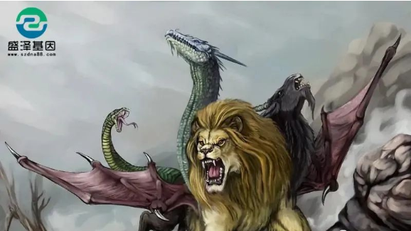 醫(yī)學(xué)怪病奇美拉現(xiàn)象：親自生未必是親生？你身體還住著另一個人？