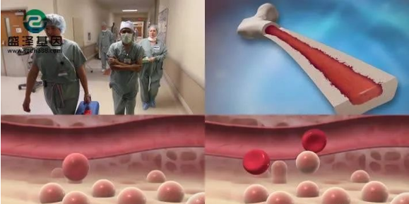 醫(yī)學(xué)怪病奇美拉現(xiàn)象：親自生未必是親生？你身體還住著另一個人？