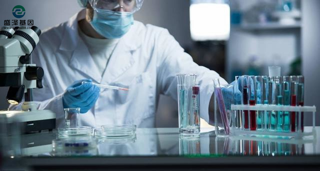 中山需要做高考升學(xué)親子鑒定的小伙伴看過來！