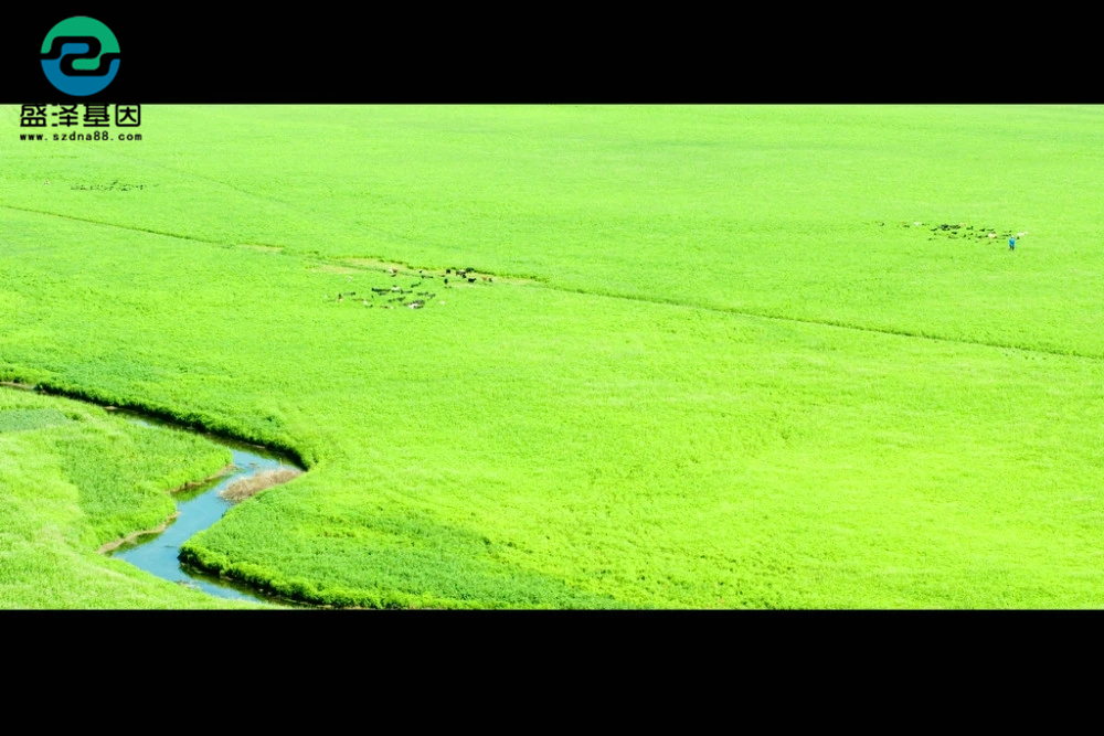 親子鑒定真實(shí)故事：4歲兒子非親生，他戴綠帽子到岳父家當(dāng)面對質(zhì)