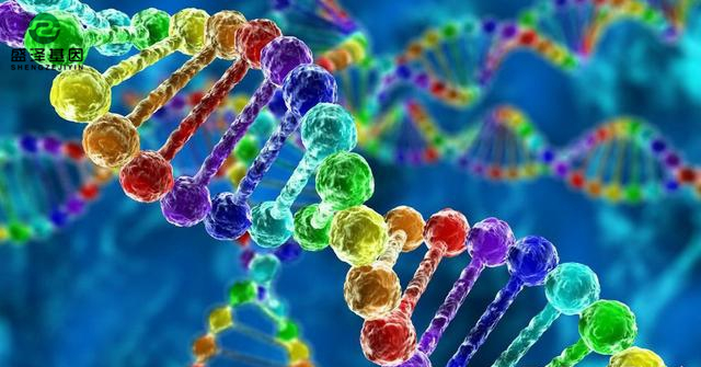 親子鑒定故事聽起來很魔幻？其實現(xiàn)實生活遠比電視劇來的精彩！