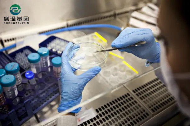 中山做親子鑒定本人不去可以檢測(cè)樣本嗎？