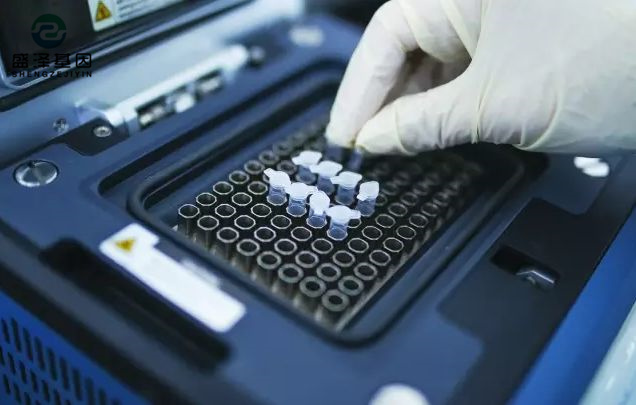 中山司法親子鑒定醫(yī)院咨詢：醫(yī)院做親子鑒定掛什么科？