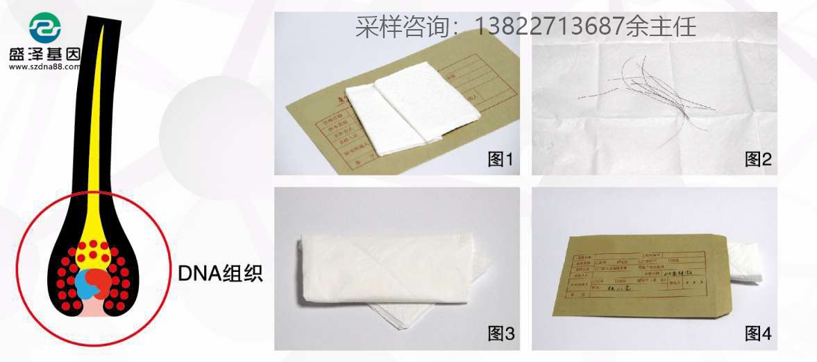 個(gè)人親子鑒定簡(jiǎn)單采樣方法指導(dǎo)（血痕、口腔拭子、毛發(fā)）