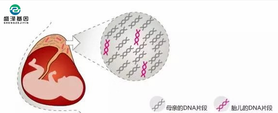 中山隱私親子鑒定所：單眼皮基因夫妻能生出雙眼皮寶寶嗎？