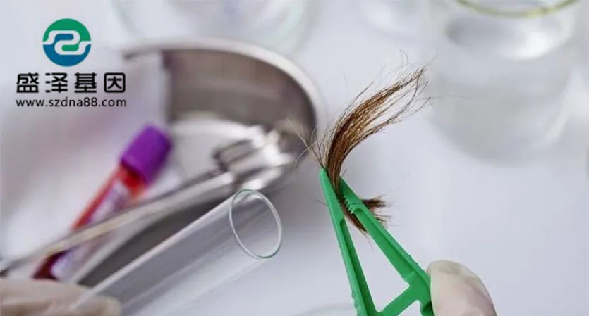 剛出生的小孩能用頭發(fā)做dna親子鑒定檢材嗎？準(zhǔn)確率高嗎？