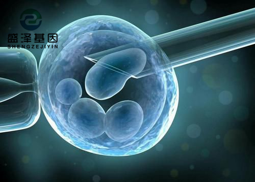 親子鑒定師講述：老公明明是無精癥，老婆卻試管嬰兒懷孕成功？