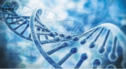 明明孩子是自己生出來(lái)的，親子基因鑒定卻非親生？