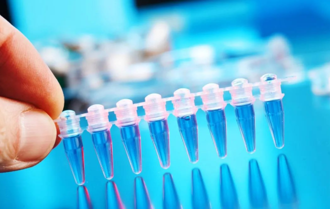 怎樣悄悄地做口香糖親子鑒定樣本采集，不讓別人知道？