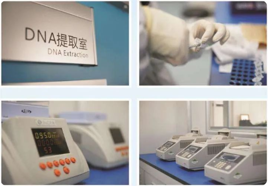 女方網(wǎng)友：父子倆血型一樣親子鑒定就是親生的嗎？