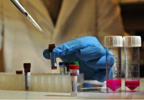 隱私親子鑒定，讓你和妻子的感情“止于”懷疑！