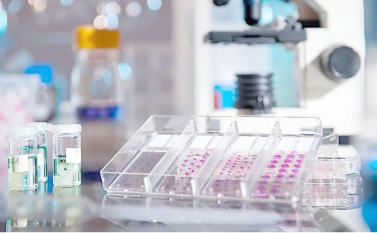 想帶小孩去做親子鑒定該如何取證呢？用紗布或棉簽等采集樣本