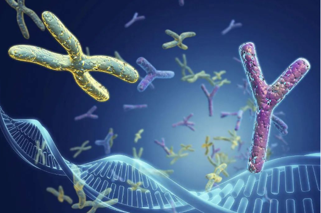 梁老伯：爺爺跟孫子可以做親緣關(guān)系鑒定嗎？多少錢？