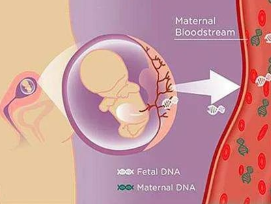 孕媽沈女士求助：懷孕胎兒親子鑒定準(zhǔn)確嗎？
