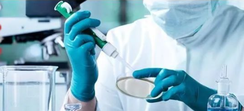 隱私親子鑒定與司法親子鑒定，到底怎么選？