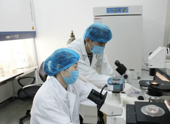 親子鑒定可以驗證妻子忠貞度，也可以給孩子上戶口