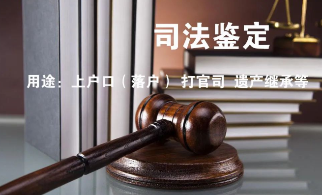 隱私親子鑒定與司法親子鑒定，到底怎么選？