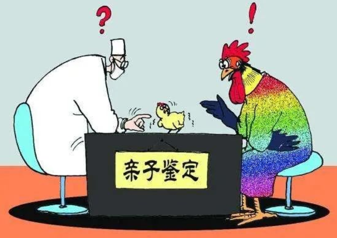 親子鑒定人數(shù)逐年上升，透過(guò)現(xiàn)象看本質(zhì)：親子鑒定折射信任危機(jī)