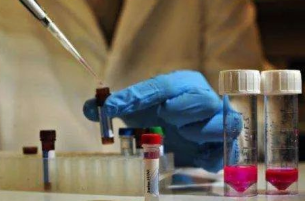 小孩子親子鑒定“非親生率”上升 5種家庭糾紛催熱親子鑒定 小孩子親子鑒定“非親生率”上升 5種家庭糾紛催熱親子鑒定