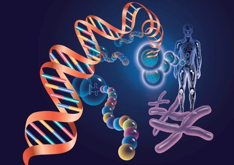 中山板芙鎮(zhèn)哪里可以做親子鑒定